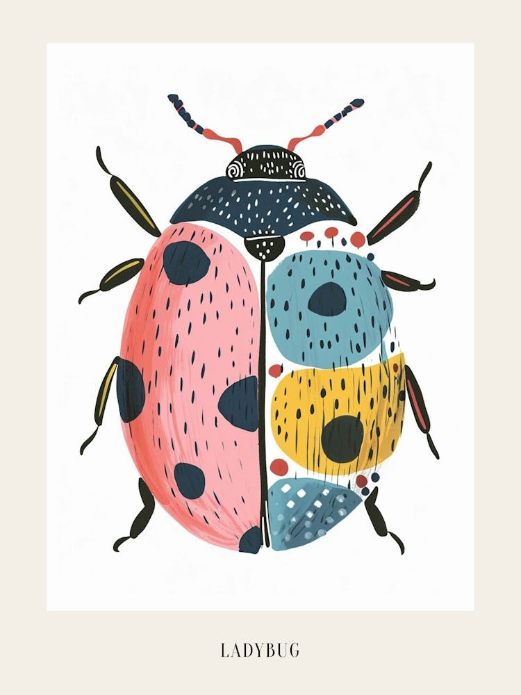 Colourful Insect Illustration Ladybug 22 Poster