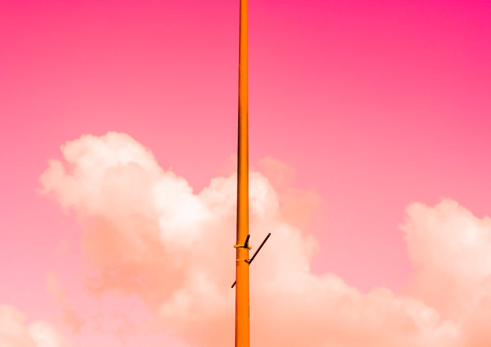 The Pink Half