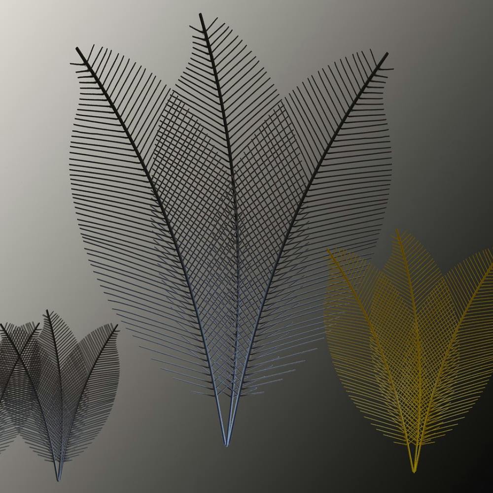 Feathers 1