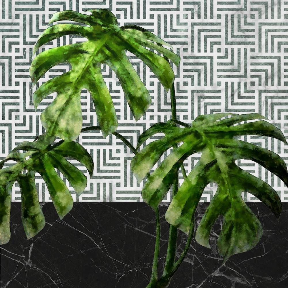 Monstera Leaves on Black Marble and Tiles