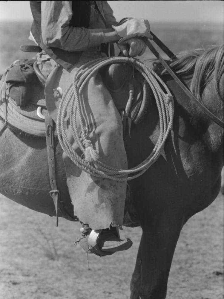 Regalia And Equipment Of The Cowboy,Cattle Ranch Near Spur, Texas By Russell Lee