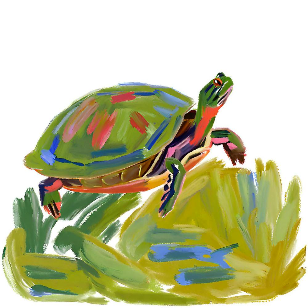 Painted Turtle 01