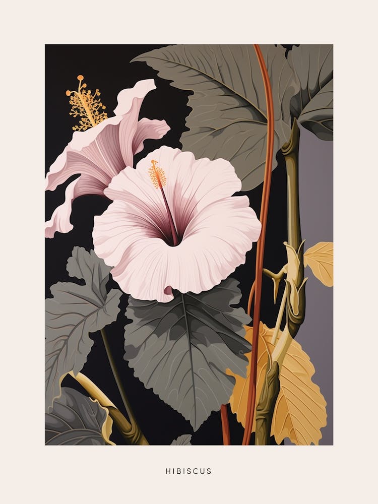 Blumenillustration Hibiskus 3 Poster