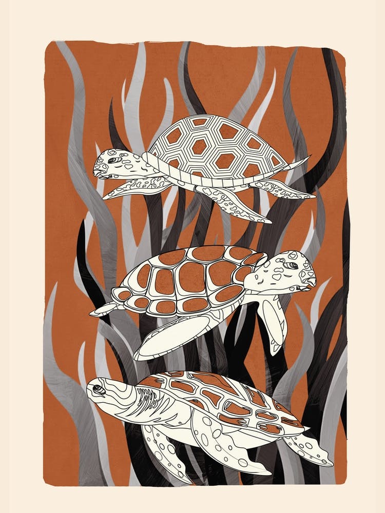 Turtles in Seagrass 2