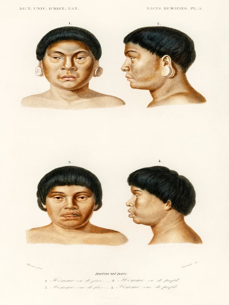 Human Race, Charles Dessalines D' Orbigny 2