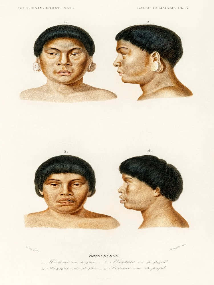 Human Race, Charles Dessalines D' Orbigny 2