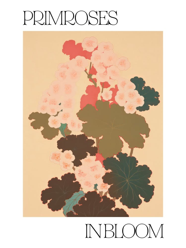 Primroses In Bloom Flowers Bold Illustration 4