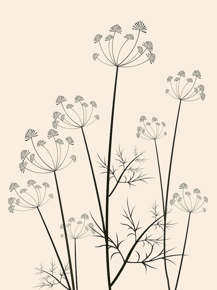 Minimalist Dandelion 1
