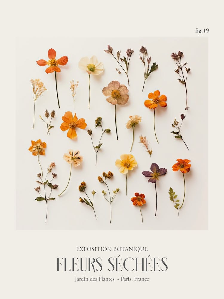 Fleurs Sechees, Dried Flowers Exhibition Poster 19