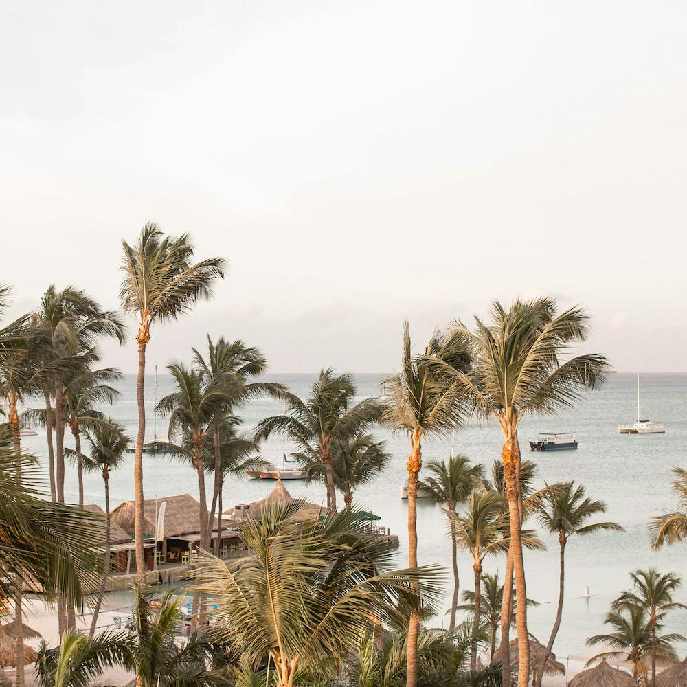 Aruba Beach View Square