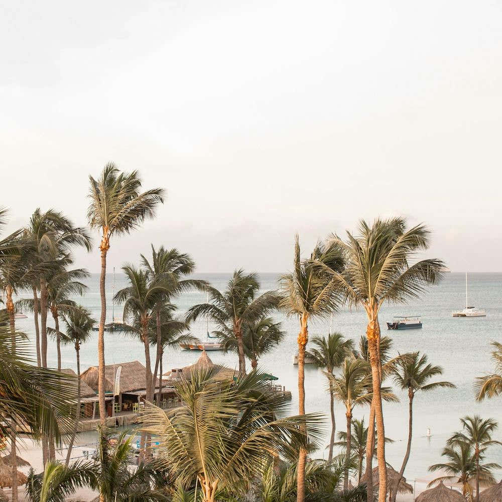 Aruba Beach View Square