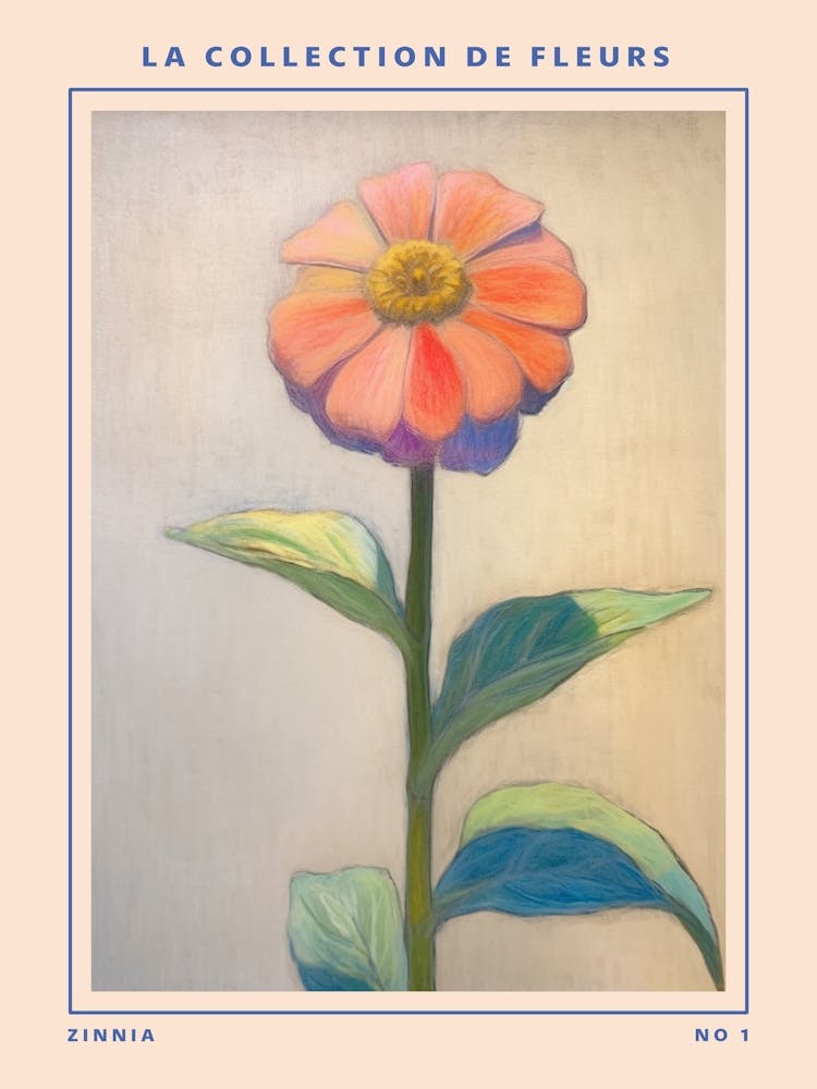 Zinnia French Flower Botanical Poster