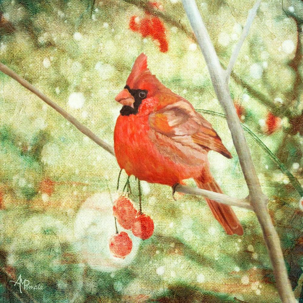 Cardinal Square