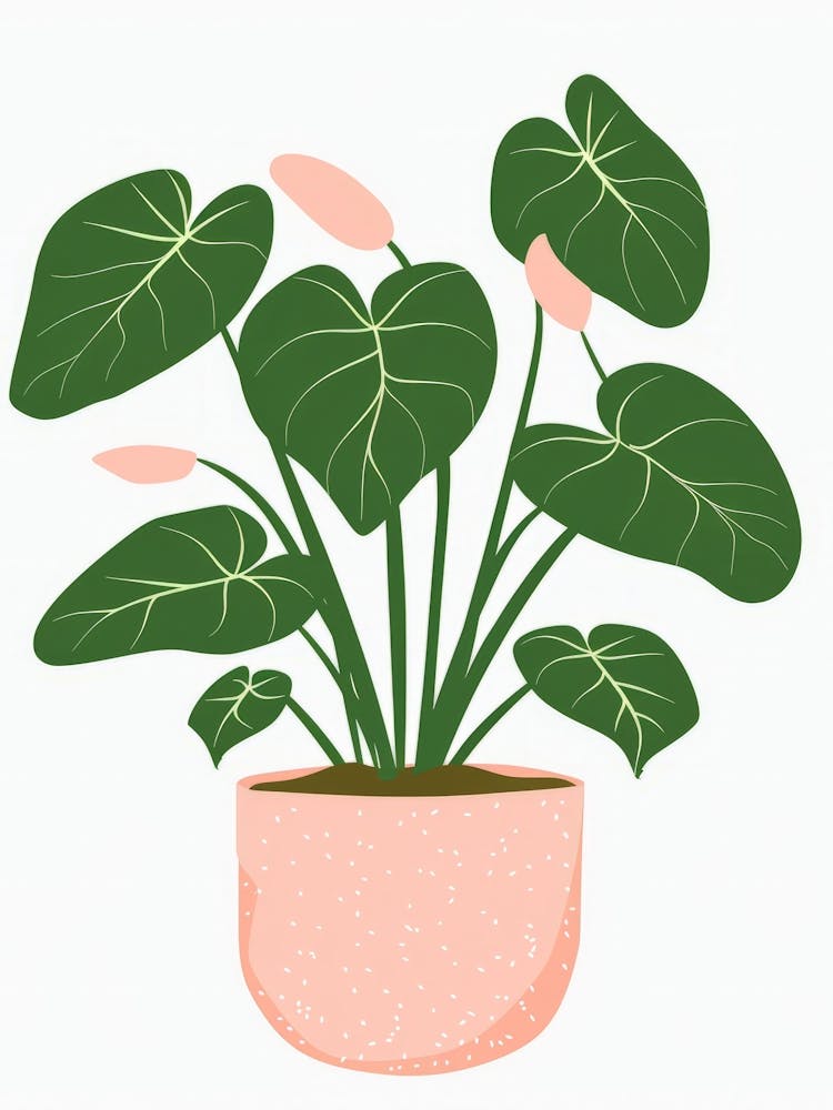 Plant In A Pot 36
