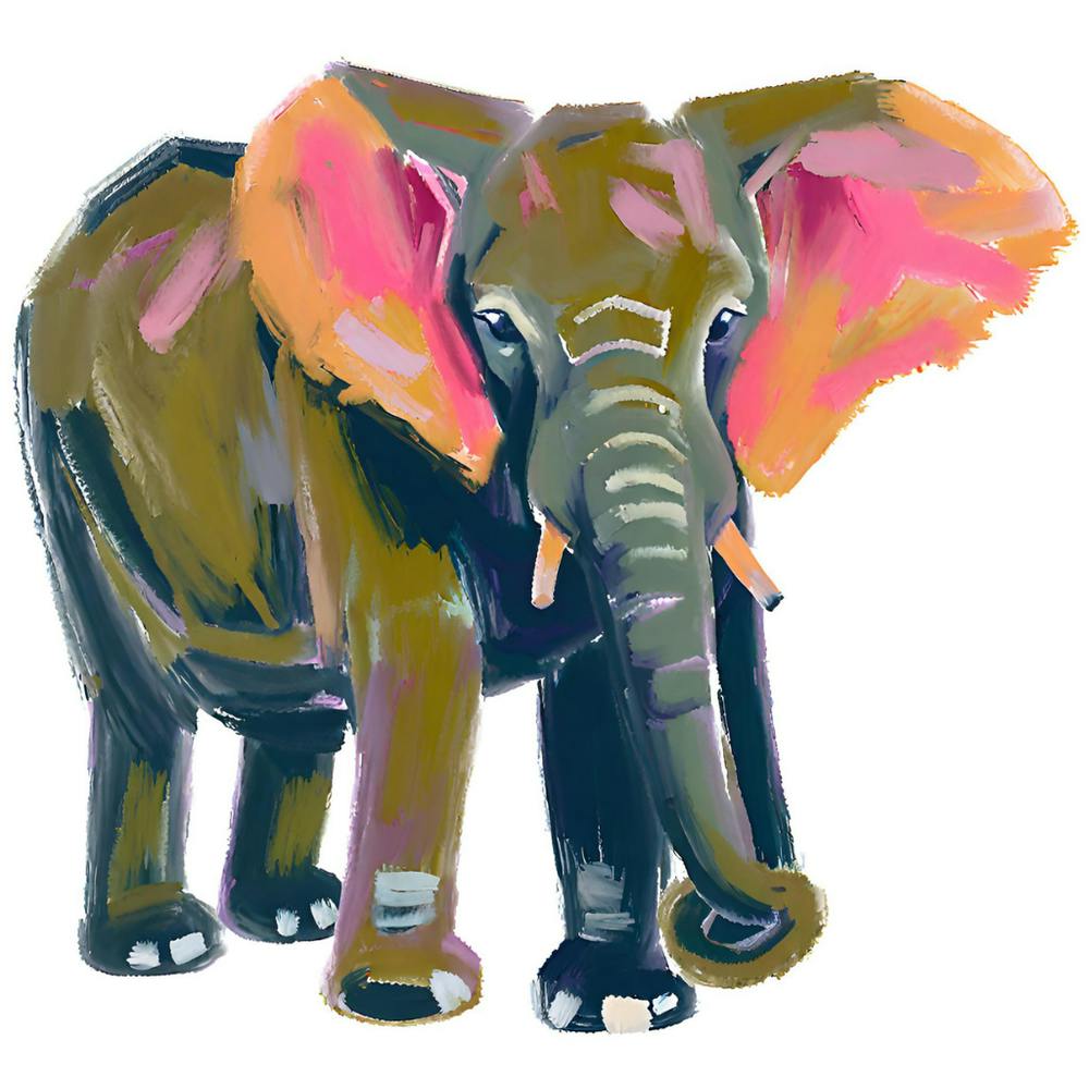 African Bush Elephant 04