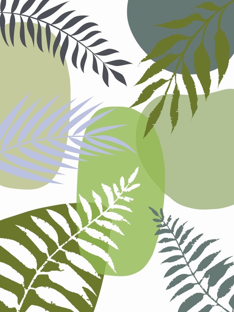 Fern Leaves 5