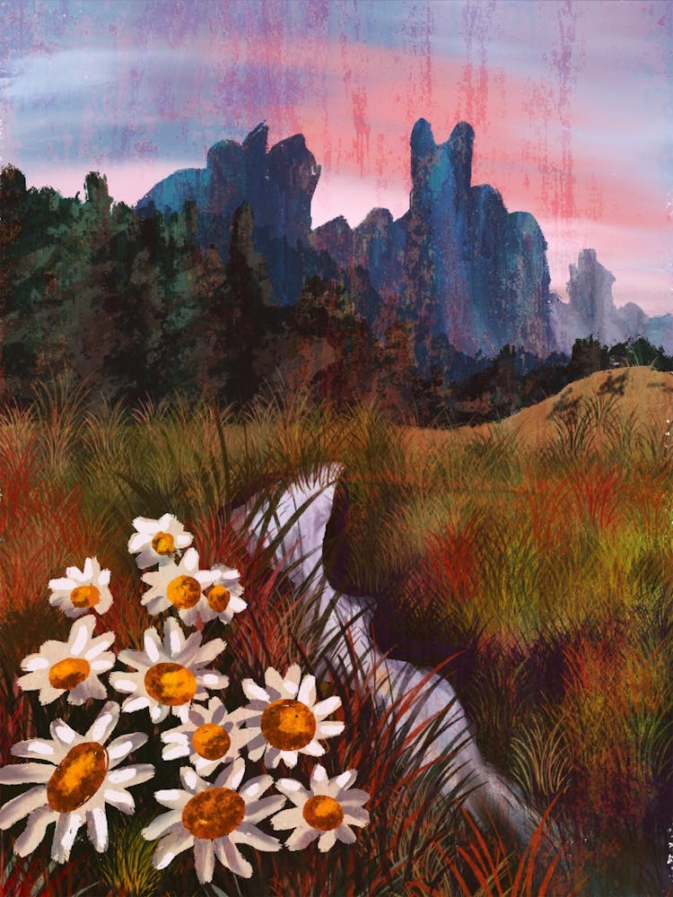 Gänseblümchen auf der Wiese