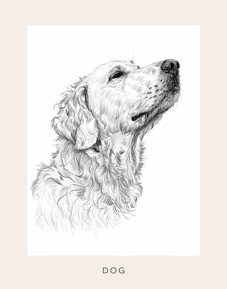 Chien Poilu Croquis au Trait 1 Affiche