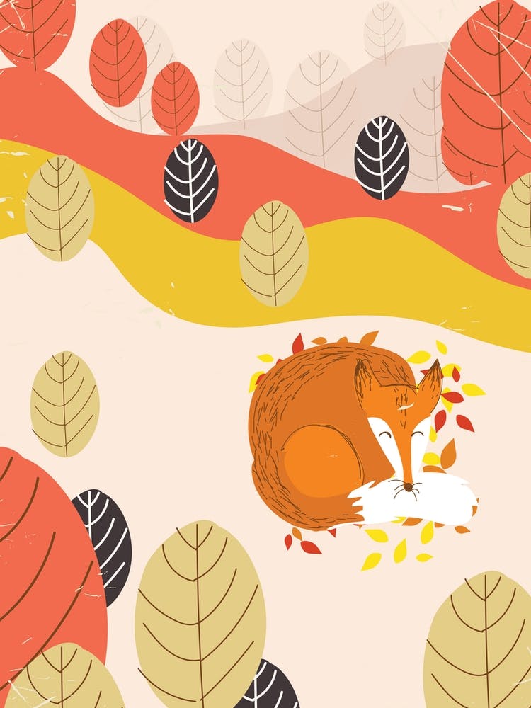 Fox In Autumn