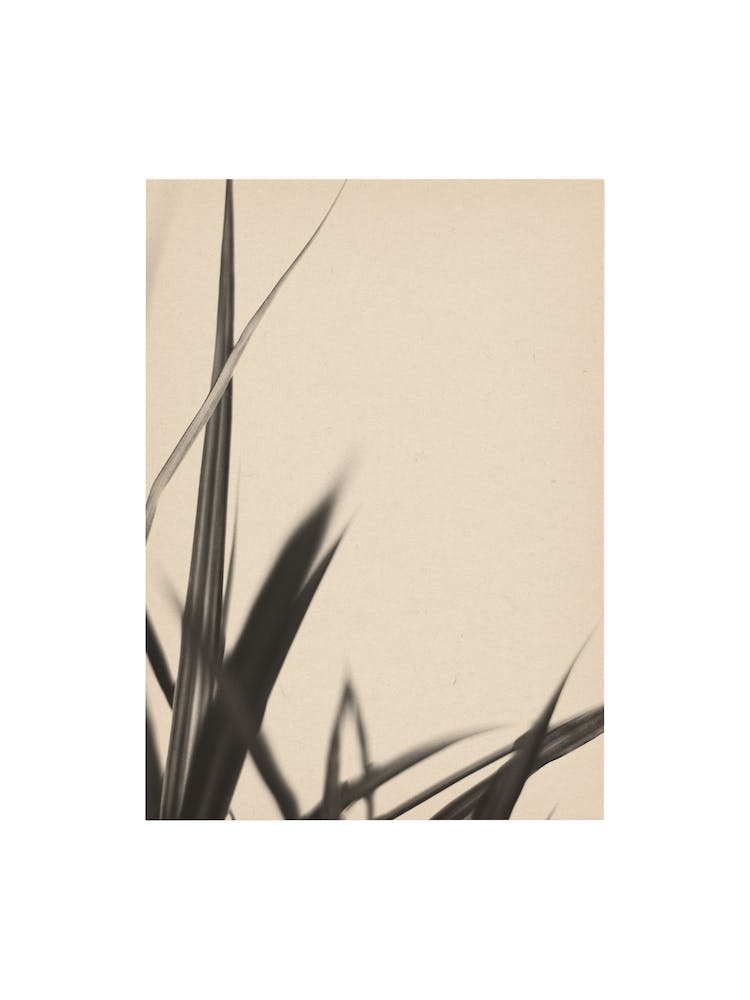 Nature Mix And Match 17