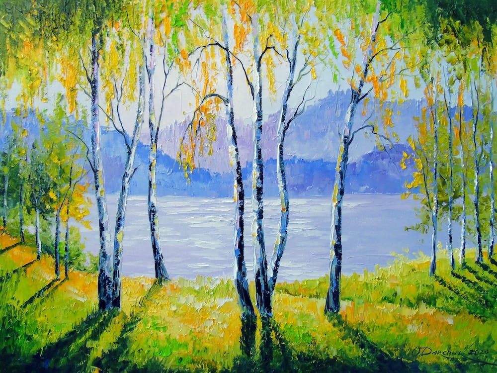 birches by the river
