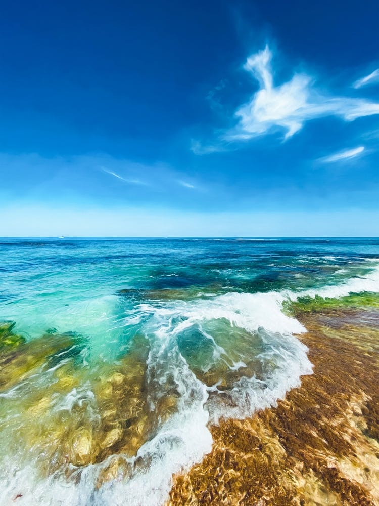 Penguin Island Coastline Two