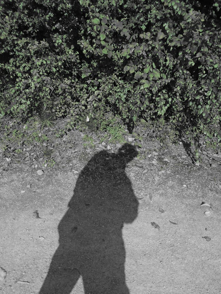Shadow Of Ryan Boswell