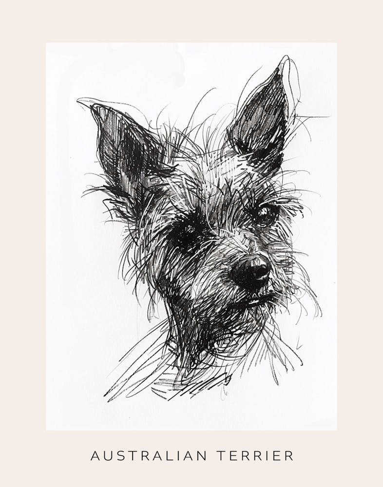 Australian Terrier Linienskizze 3 Poster