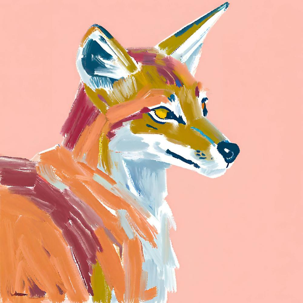 Ethiopian Wolf 02