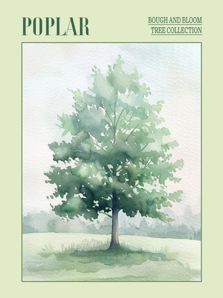 Poplar Tree Atmospheric Watercolour Painting 4 Poster