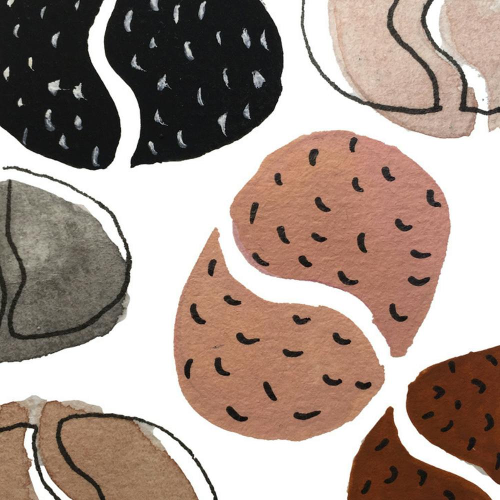 Acorns - 1x1
