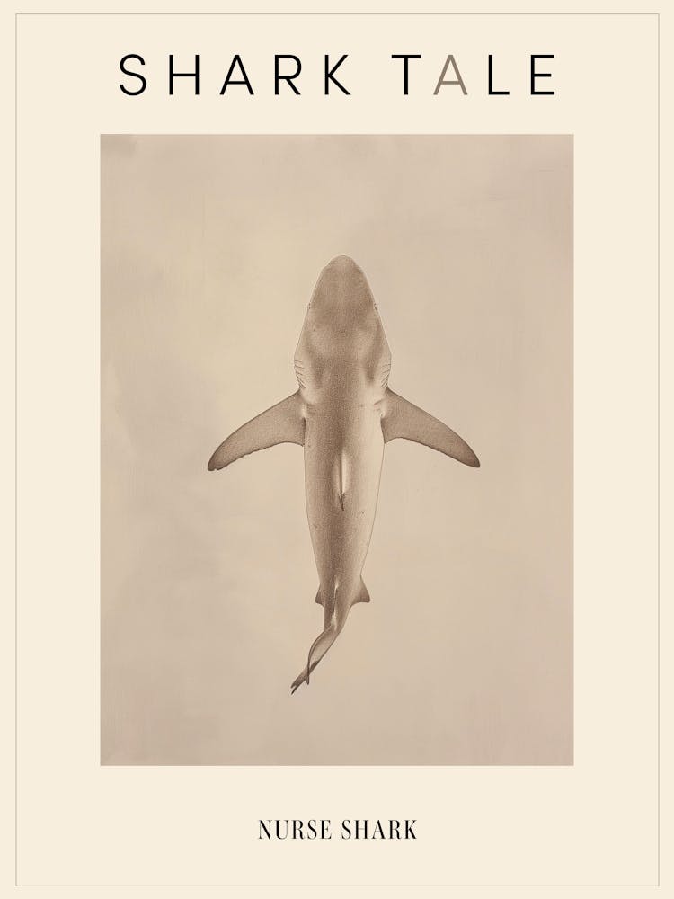 Vintage Nurse Shark Pencil Illustration 3 Poster