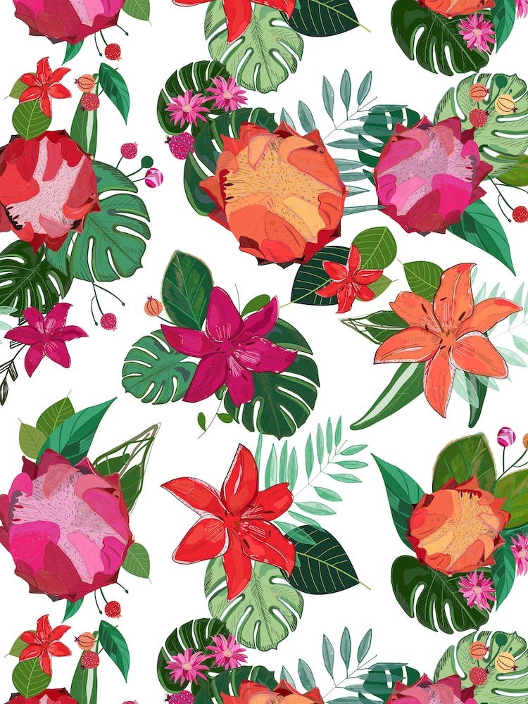 Protea Lily Tropical