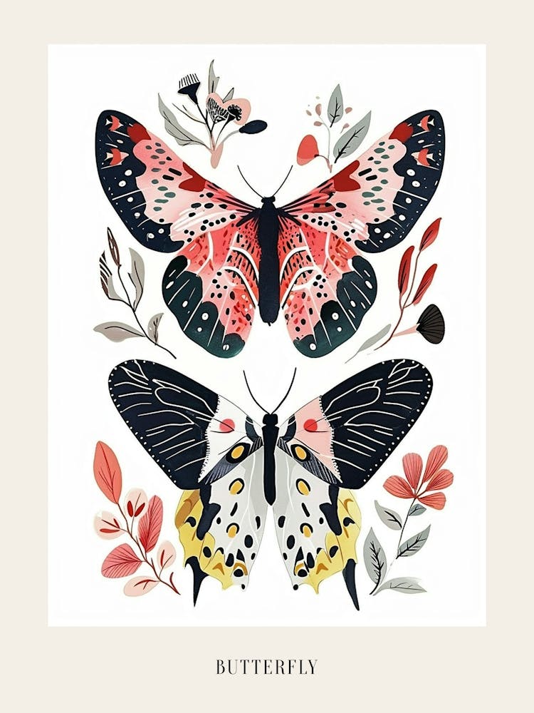Colourful Insect Illustration Butterfly 3 Poster