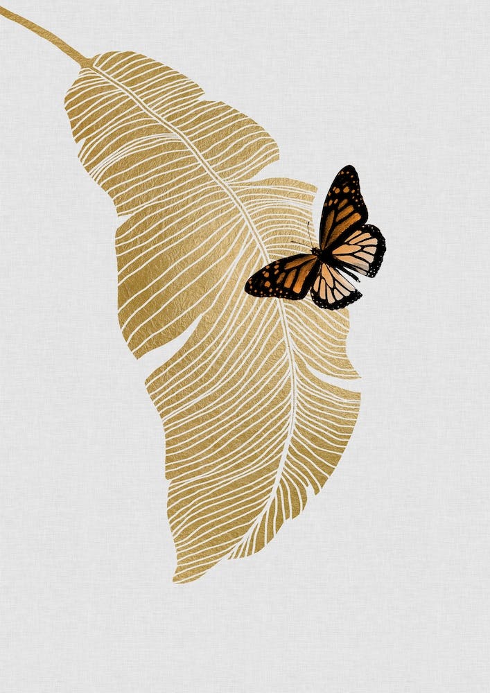 Butterfly & Palm