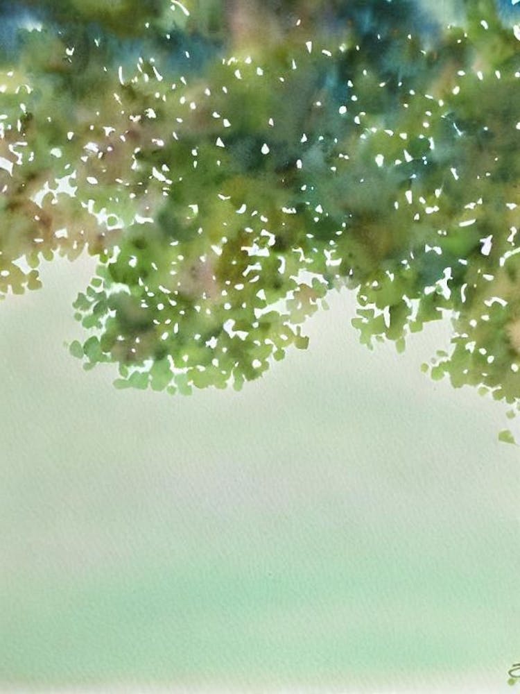 Acropora Intermedia Iiii Storybook Watercolour