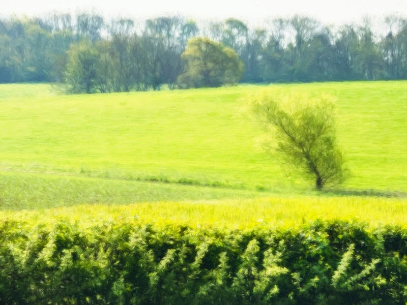 Above The Hedgerow