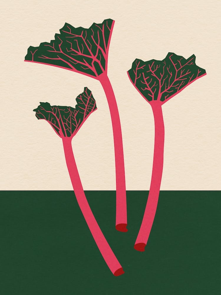 Swedish Garden Rhabarber