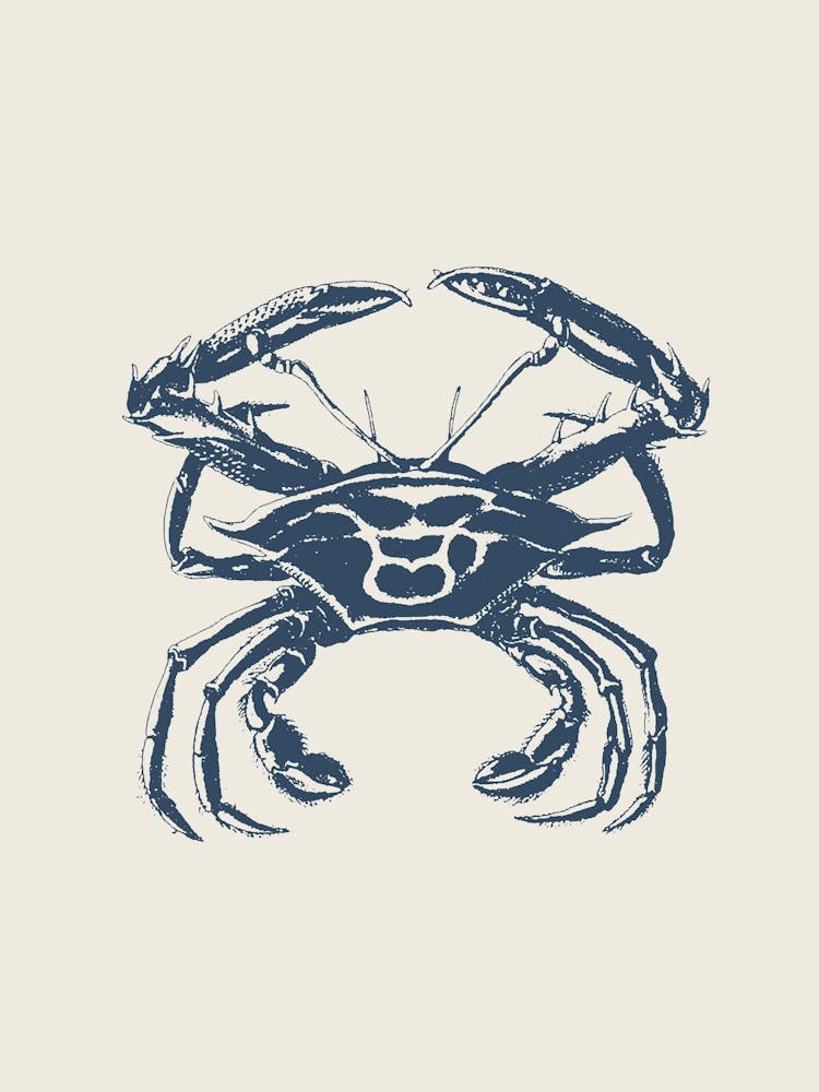 Crab in Blue, Beach Decor, Minimalist Coastal Art