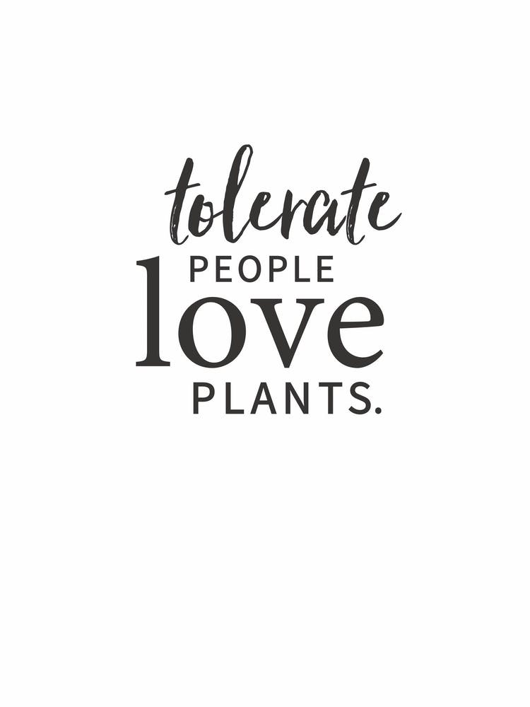 Plants