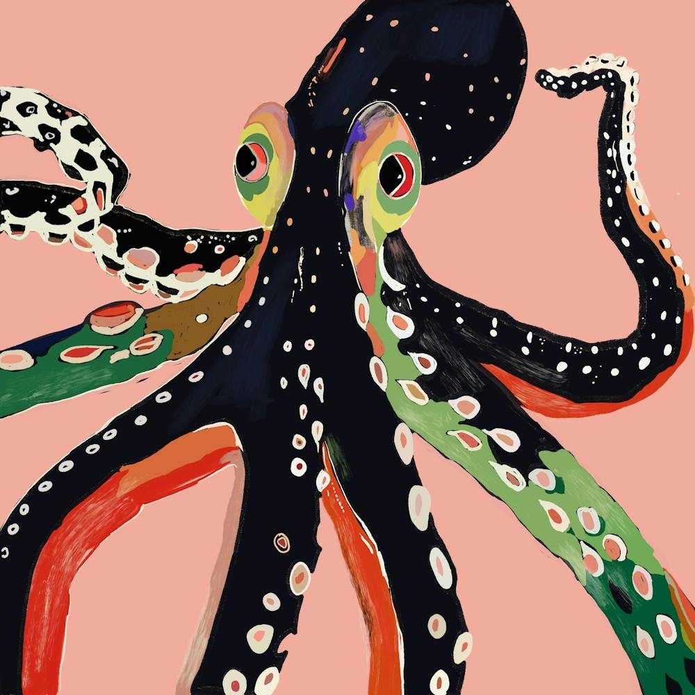 Colorful Octopus
