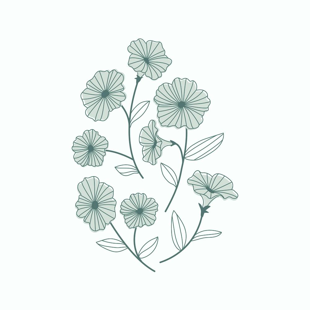 Fleurs Bleues Sur Fond Blanc
