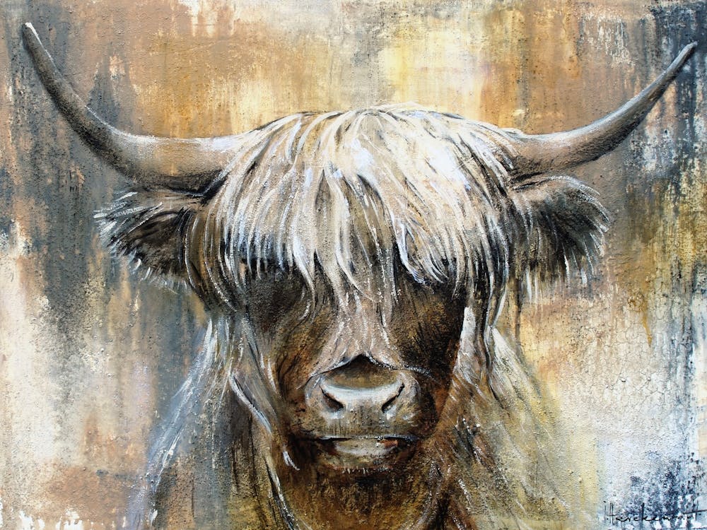 Highlandcow I