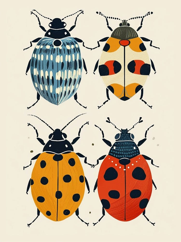 Colourful Insect Illustration Ladybug 13