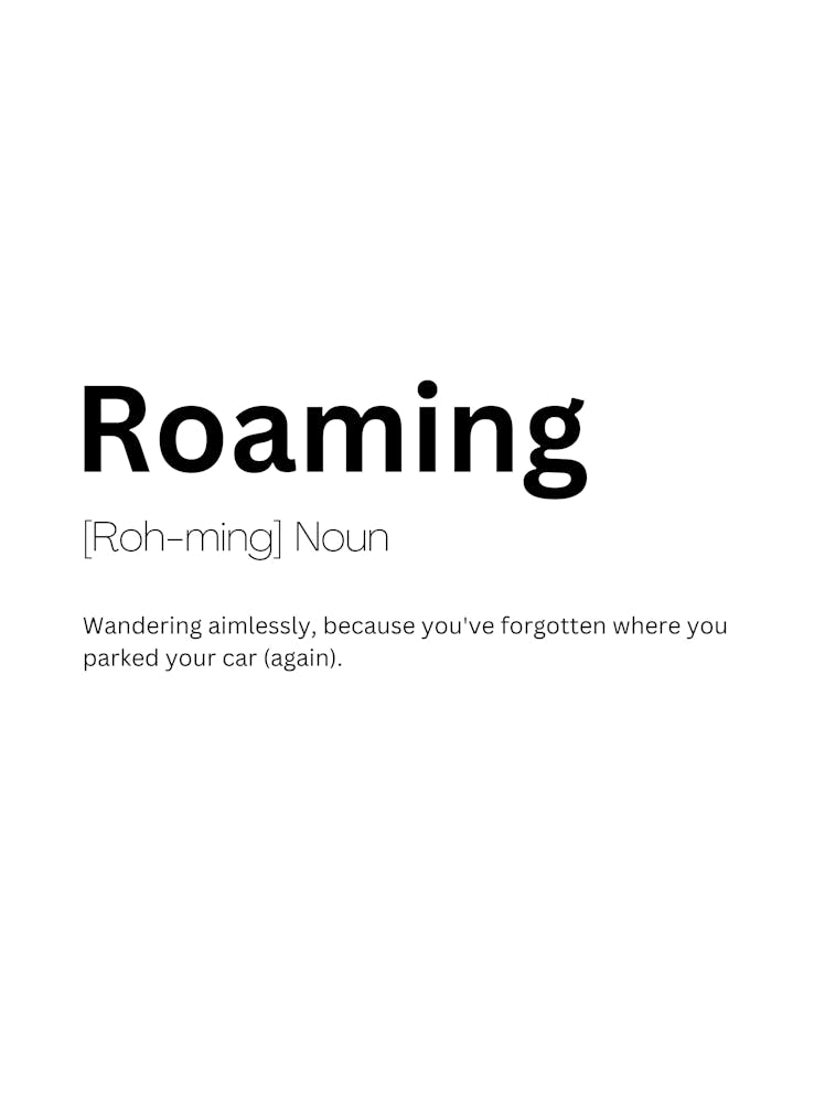 Roaming Definition Meaning