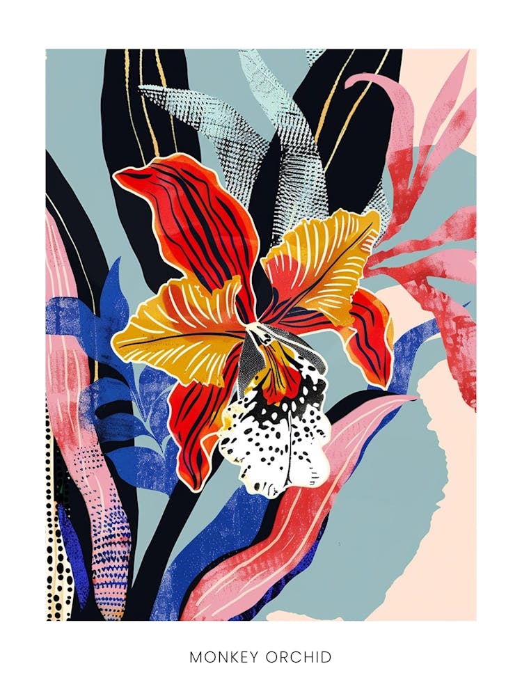 Colourful Flower Illustration Poster Monkey Orchid 4