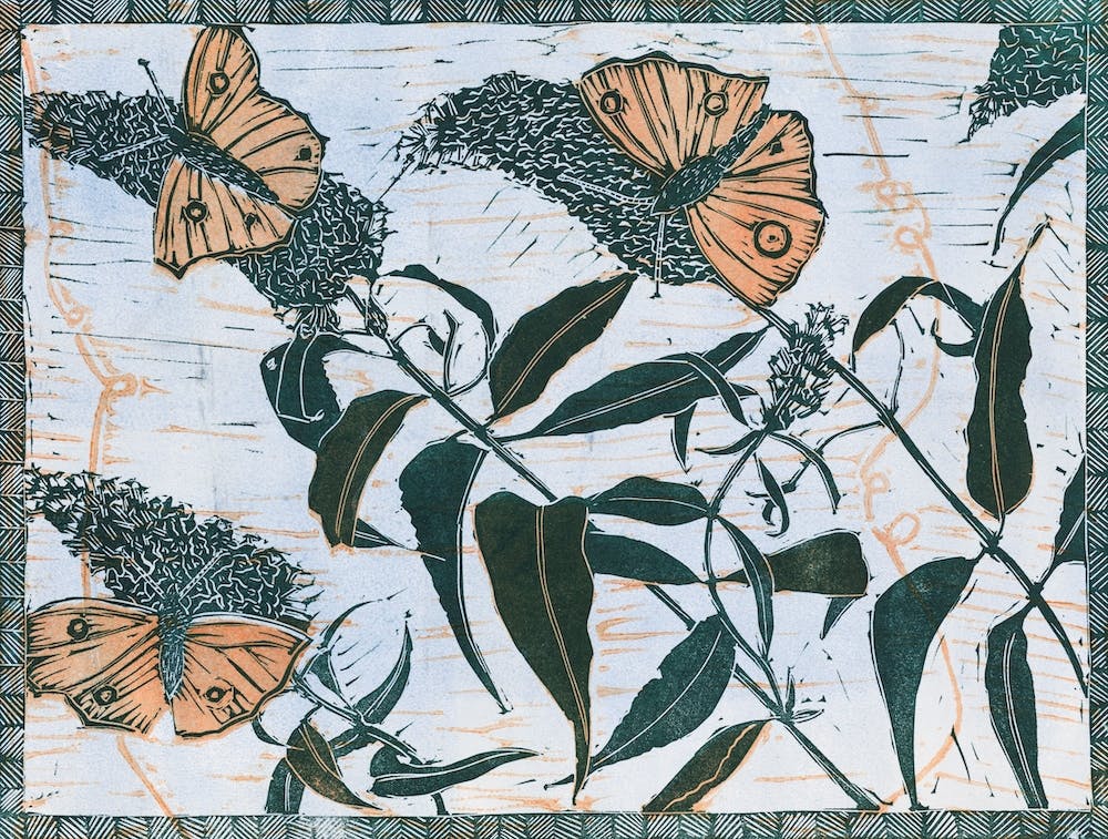 Butterflies On Buddleia