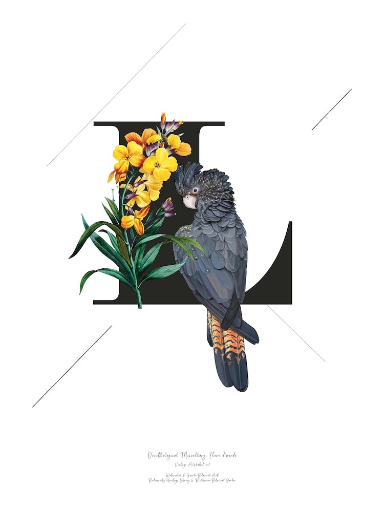 Botanical Alphabet L