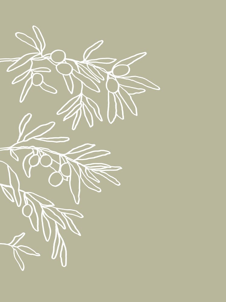 Line Art Oliven-Set, A