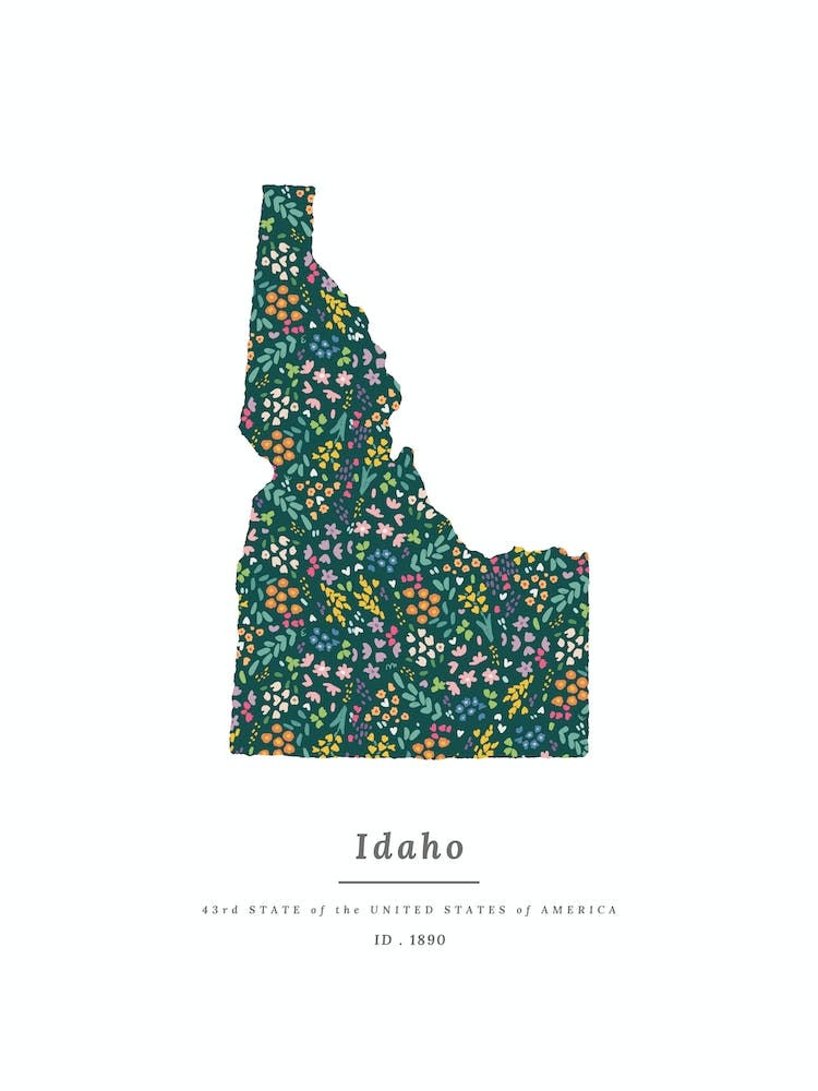 Idaho State | Wildflowers on Juniper Green
